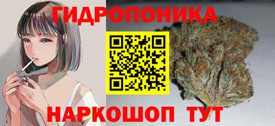 дмт Славгород
