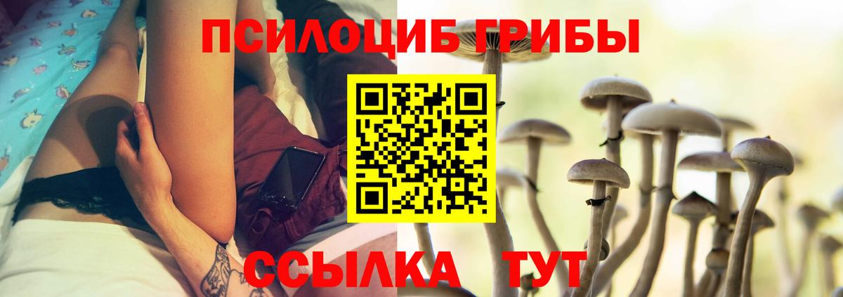 Галлюциногенные грибы мицелий  Псилоцибиновые грибы GOLDEN TEACHER  Москва  Вход с VPN 